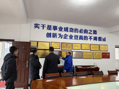 洪江區工委社會(huì )工作部走訪(fǎng)調研我司黨建工作